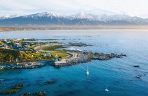 Kaikoura Day Tour From Christchurch 