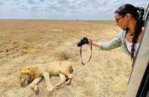 5 days Mikumi National Park and Nyerere National Park Adventure