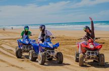 Quad Bike and Sandboarding on Sand Dunes Wild Beach
