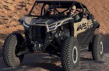 2.5 Hour Moab Hell's Revenge You Drive Off Road UTV Tour