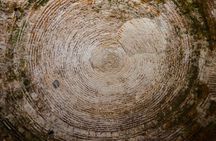 Split Diocletian's Palace & cellars Private Tour - Entrance incl.