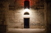 Split Diocletian's Palace & cellars Private Tour - Entrance incl.