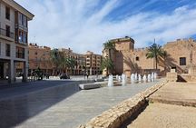 Alicante & Elche. Transport, guide and monuments.