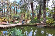 Alicante & Elche Small Group Tour with Palm Grove and Castle