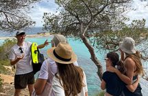 Palma de Mallorca: Small Group Tour by Locals in Hidden Coves