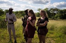 Half-Day Matobo Hills Cave Expedition & Ancient Rock Art Tour