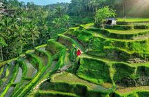 Bali: Best of Ubud Instagram highlights All-inclusive Package 