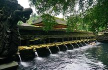 Bali: Best of Ubud Instagram highlights All-inclusive Package 