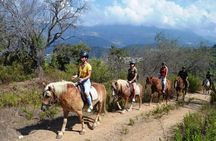 Alanya Horse Riding Experience