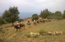 Alanya Horse Riding Experience