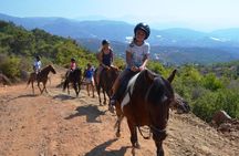 Alanya Horse Riding Experience