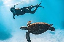 Bali Snorkeling at Blue Lagoon and Tanjung Jepun with Transfer