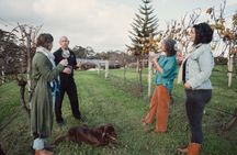 Cool Climate Chardonnay Masterclass in Denmark Australia