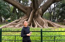 Bangalore Like a Local: Street Food Crawl & Lalbagh Garden Walk