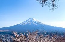 Mount Fuji Adventure Tour from Tokyo with English Guide