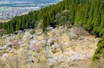 Day Tour to Miyazaki Takachiho Gorge & Shrine depart from Fukuoka
