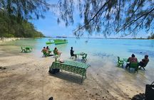 Activity/Excursion Lagoon Tour to Moorea by Canoe 6 hours
