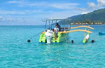 Activity/Excursion Lagoon Tour to Moorea by Canoe 6 hours