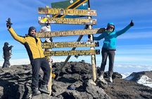 7 Day Kilimanjaro Trek Lemosho Machame Marangu or Rongai Umbwe 