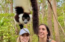 Madagascar Exploring Antananarivo to Andasibe 7 D/6 N (Comfort)