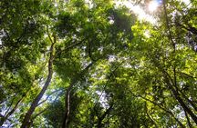 Cu Chi Tunnels and Mekong Delta 1 Day Tour With Small Group