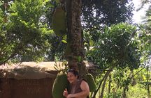 2-Hours Village Walk and Lake Victoria cruise from Kampala
