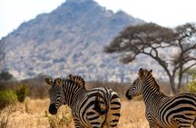10 Day Tanzania Safari and Trekking Remote Area