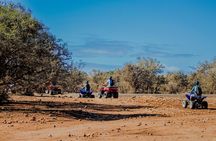 Agadir Desert Quad Biking Tour ATV Adventure Experience