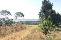 2-Hours village walk and Lake Victoria cruise from Entebbe 