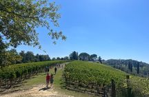 Farm To table Experience on an organic hilltop estate in Tuscany