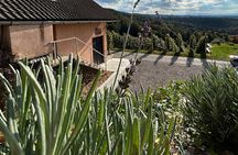 Private Wine Tastings in Sentjernej Slovenia
