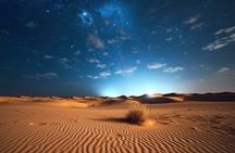 Arabian Night Adventure Desert Safari Under the Stars 
