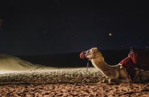 Arabian Night Adventure Desert Safari Under the Stars 