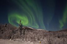 Spectacular Hot Spring Experience with Northern Lights 