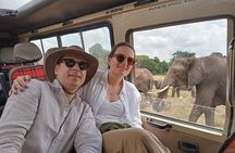 8 Days 7 nights Kenya and Tanzania private camping safari