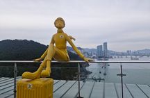 2-Day Busan Private Tour & Medical Tourism Package