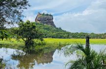 7 Days Sri Lanka Safari Tour
