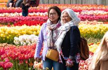 From Amsterdam: Keukenhof + Tulip Experience Tour