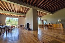 EXCLUSIVE TOUR Luis Barragán - Casa Pedregal