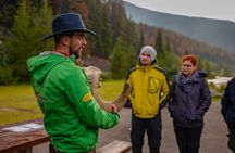 Discover Jasper and its Wildlife
