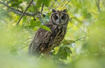 Birdwatching at Agrícola Camelias – A Sustainable Sanctuary