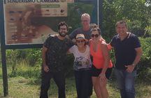 Birdwatching at Agrícola Camelias – A Sustainable Sanctuary