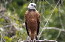 Birdwatching at Agrícola Camelias – A Sustainable Sanctuary