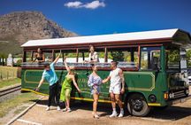Franschhoek wine Tram & Stellenbosch Town Full day tour