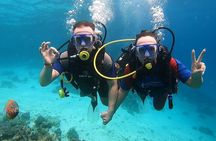 Scuba Diving Boat for Beginner or Professional & Lunch - Hurghada