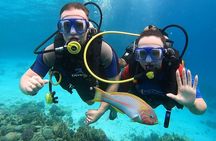 Scuba Diving Boat for Beginner or Professional & Lunch - Hurghada