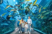 Dubai Fishing Adventure Downtown