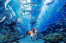 Dubai Fishing Adventure Downtown