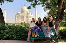 Private 4-Days Taj Mahal and Ranthambore Safari Tour from Delhi