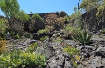 EXCLUSIVE TOUR Luis Barragán - Casa Pedregal